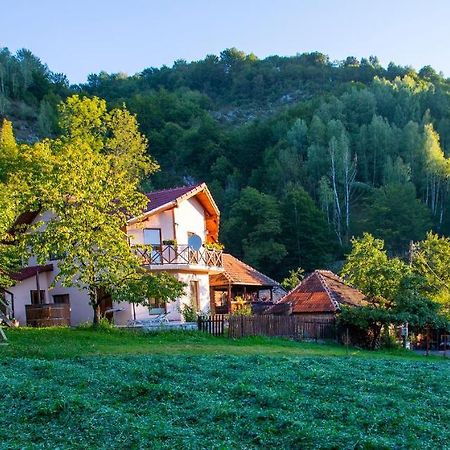 Agropensiune La cascada Sipot Merisor Exterior foto