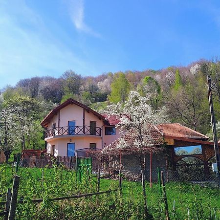 Agropensiune La cascada Sipot Merisor Exterior foto