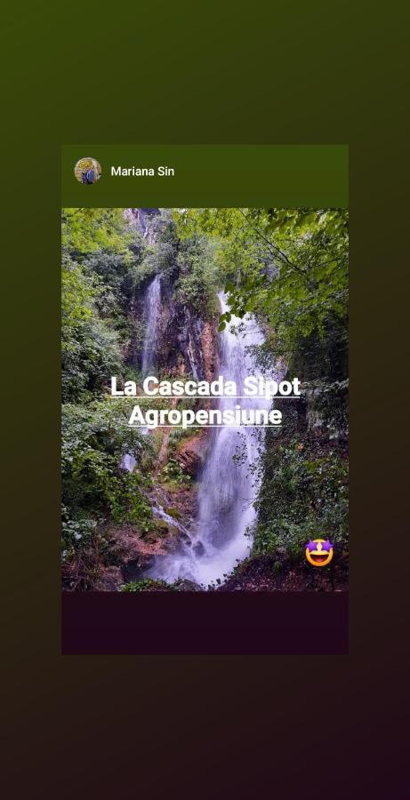 Agropensiune La cascada Sipot Merisor Exterior foto