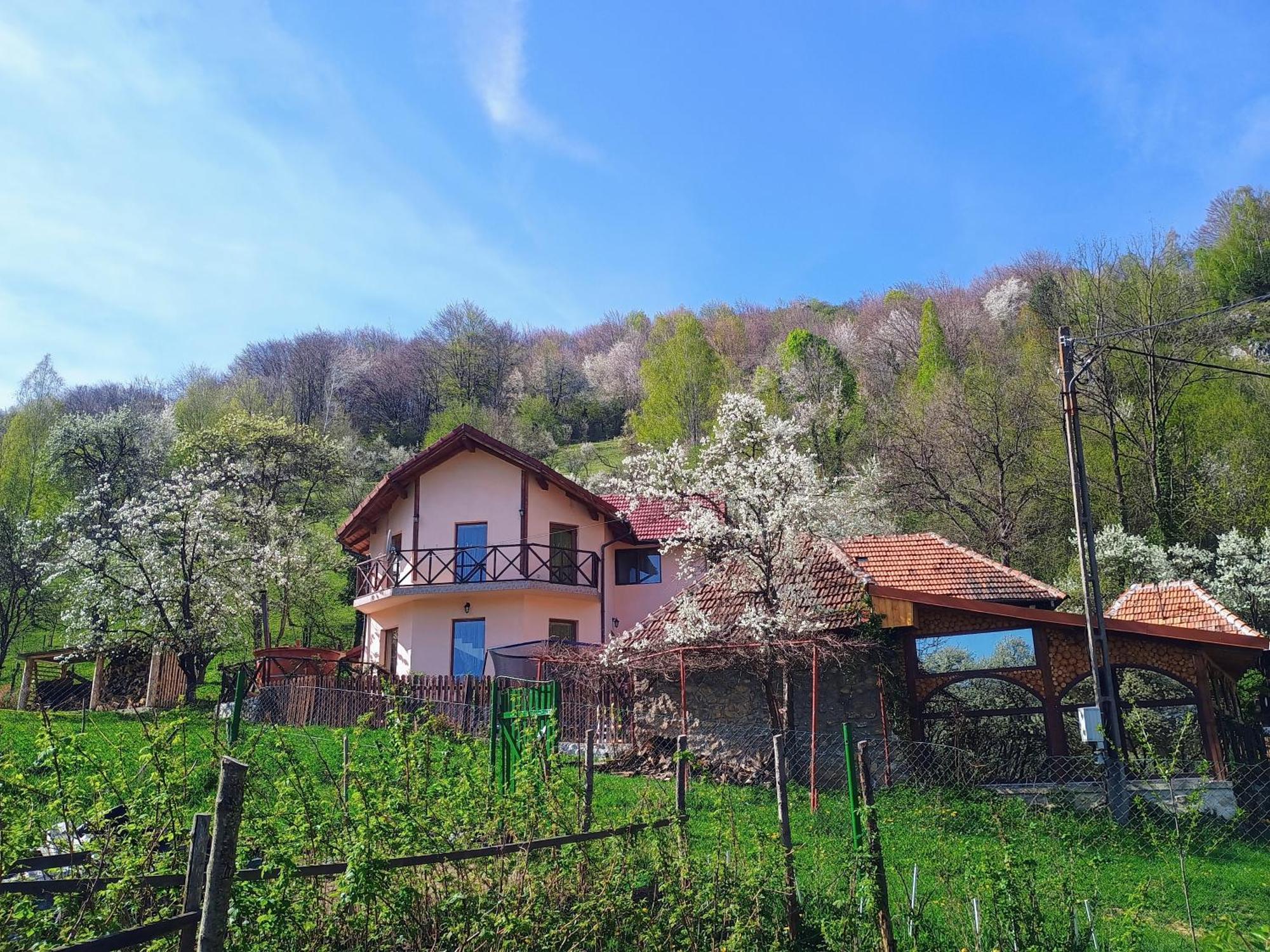 Agropensiune La cascada Sipot Merisor Exterior foto