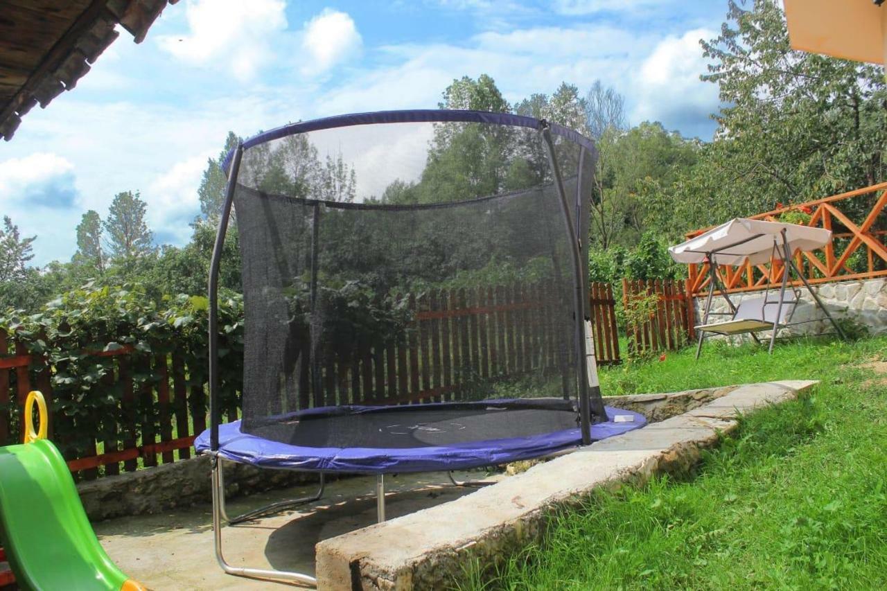Agropensiune La cascada Sipot Merisor Exterior foto